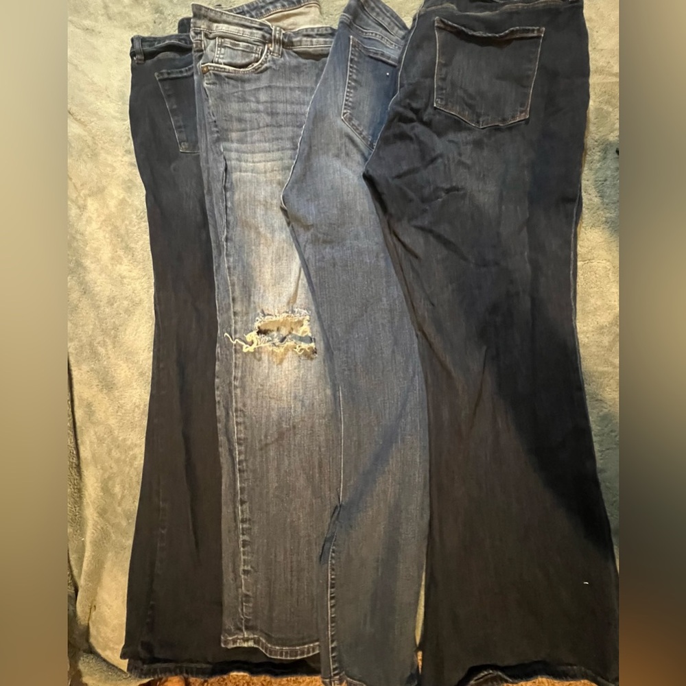 Kut from the Kloth Plus Size Lot